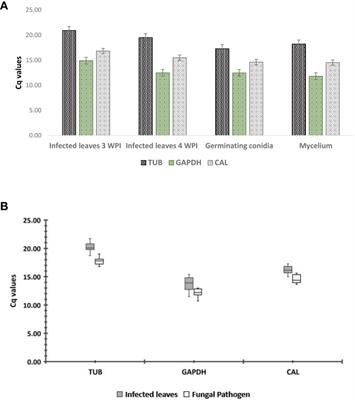 Selection and validation of reference genes for normalizing qRT‒PCR gene expression studies in Colletotrichum gloeosporioides and interaction with the guava plants